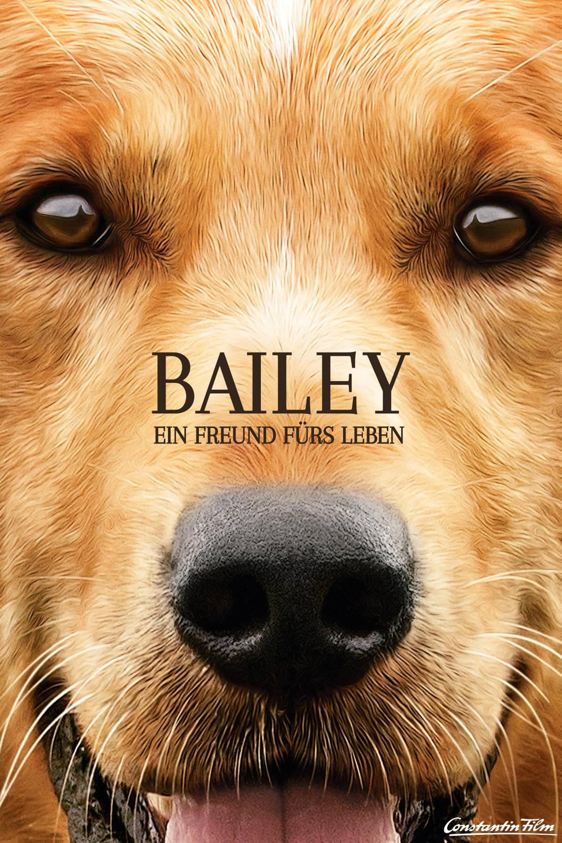 Bailey Ein Freund Fürs Leben Stream